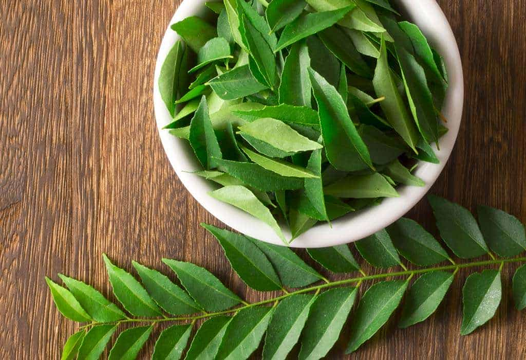 Benefits Of Curry Leaves – शरीर की कई बिमारीयों के लिए वरदान है ये पत्ता, फायदे जान आप हो जाएंगें हैरान