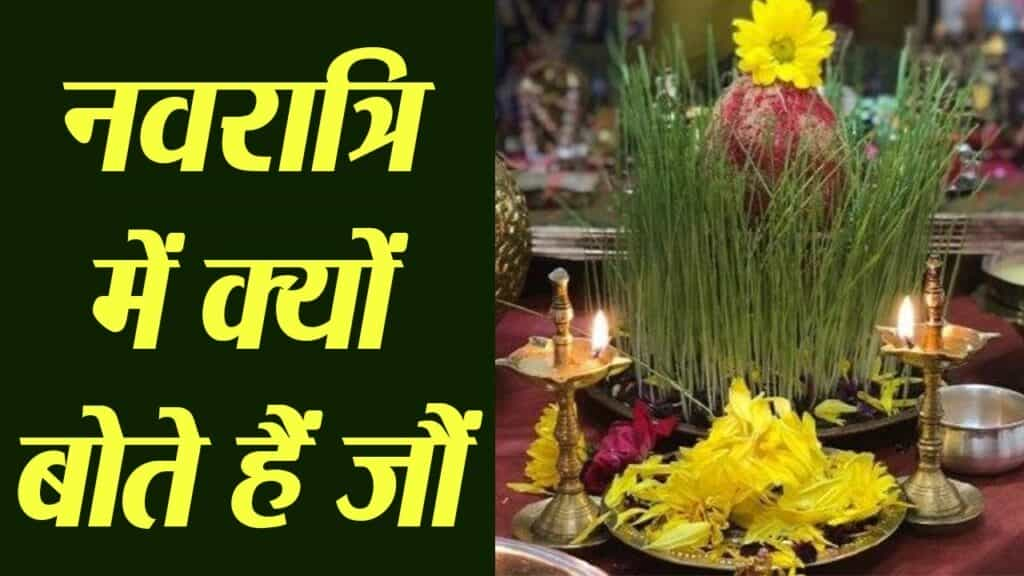 Shardiya Navratri 2022 : जानिए नवरात्रि में क्यों बोए जाते हैं जौ?