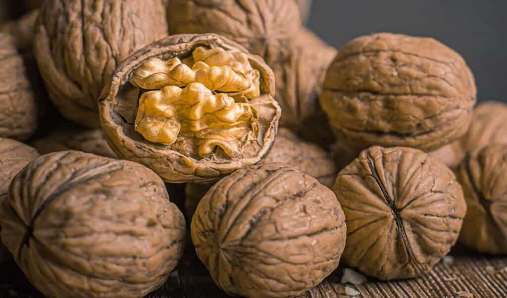 Benefits and Side Effects of Walnuts : अखरोट खाने के कुछ फायदे तो कुछ नुकसान, जानें कब और कैसे खाएं