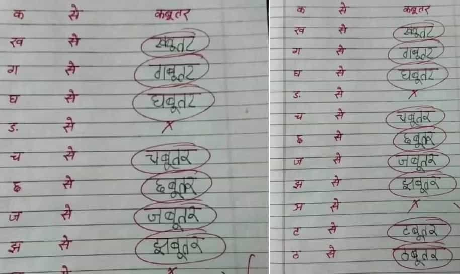 Funny Answer Sheet Viral