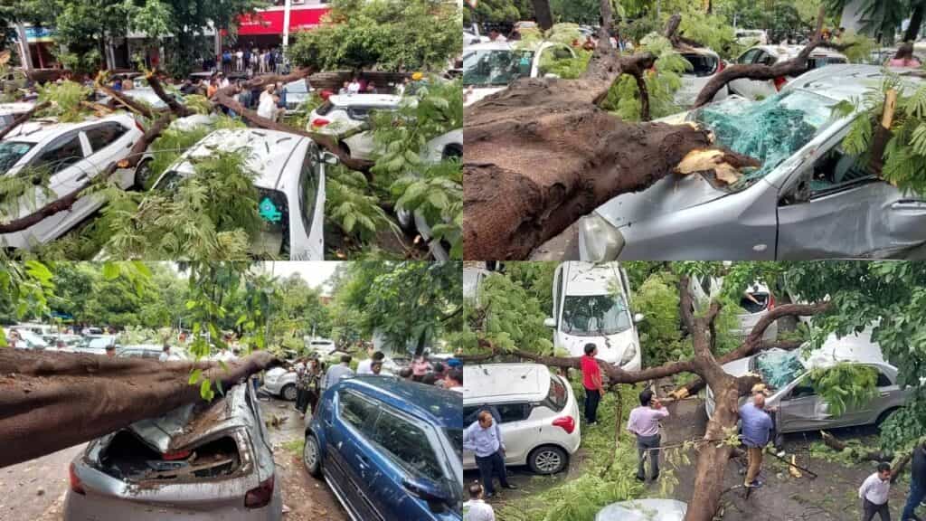 Tree Fell in Parking Lot : चंडीगढ़ में तेज बारिश से पार्किंग में गिरा पेड़, सात कारों को भारी नुकसान