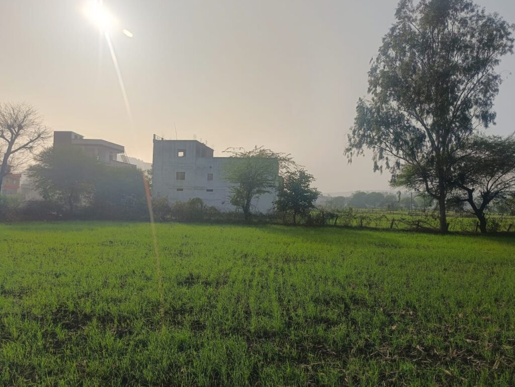 Punjab Weather Update : पंजाब में खिली धूप मगर ठंड से राहत नहीं, कोहरे का कहर रहेगा जारी
