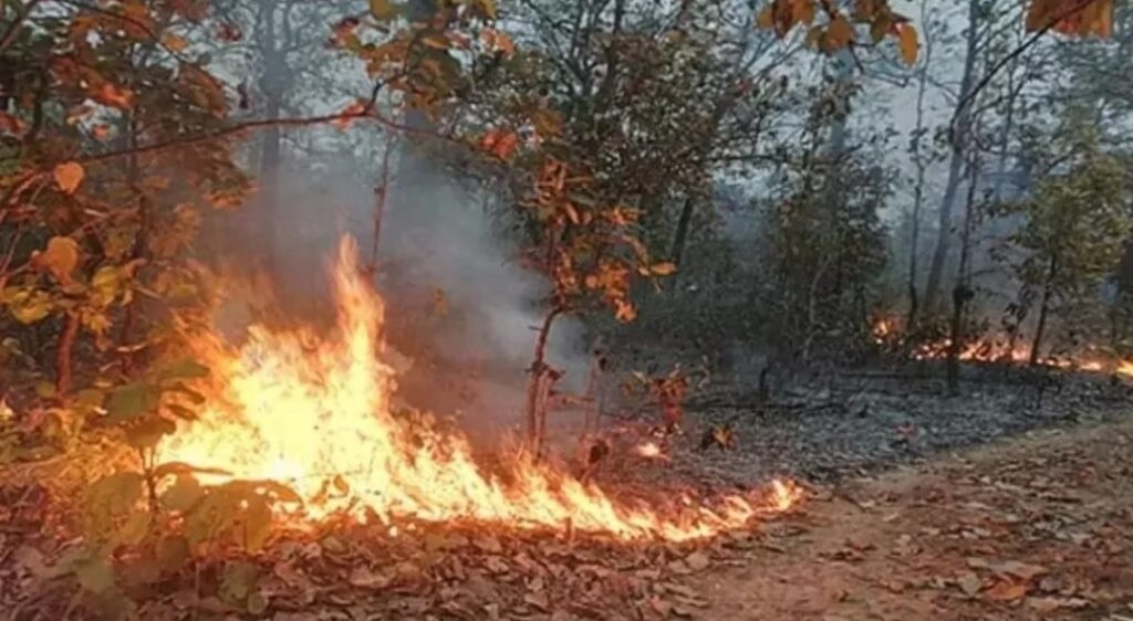 Chintpurni forest fire : माता चिंतपूर्णी जंगल में लगी भीषण आग, नहीं हो रही हैं काबू, दहशत का माहौल