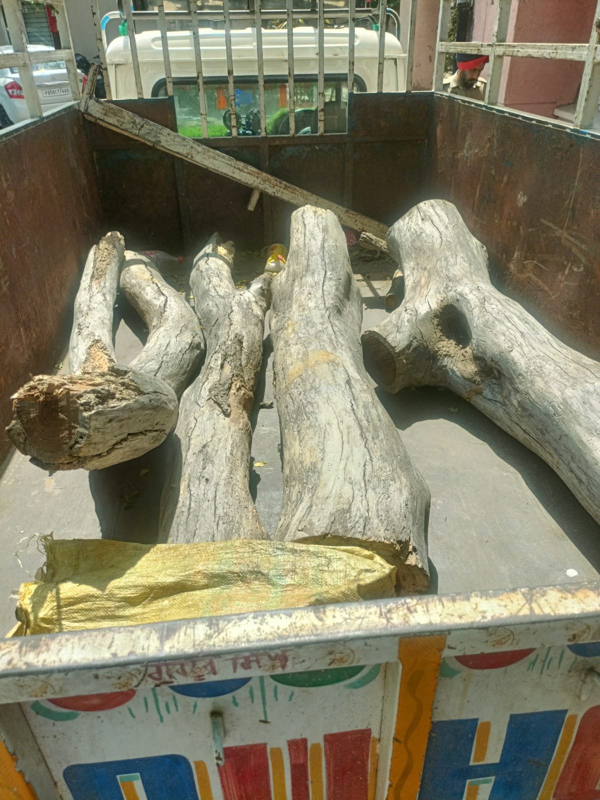 Wood Stealing Gang Busted