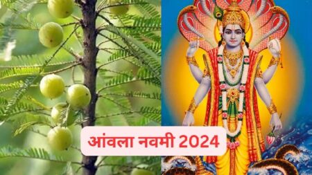 Amla Navami … आने वाली है आंवला नवमी, इन नियमों का अवश्य करें पालन