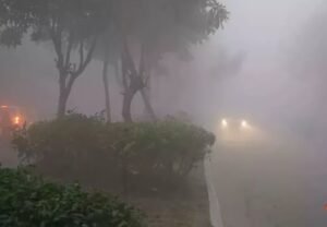 Fog In Punjab : सावधान…पंजाब के कई जिलों में घने कोहरे का अलर्ट