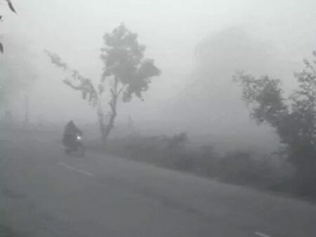 Weather Alert : पंजाब में 12 तक बारिश का अलर्ट, घनी धुंध से ठंड पकड़ेगी जोर