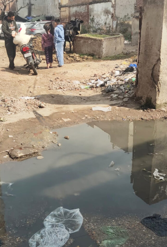 Jalandhar News : मेयर के अपने वार्ड का बेड़ागर्क, वार्ड 62 में सीवरेज के गंदे पानी से जनता परेशान
