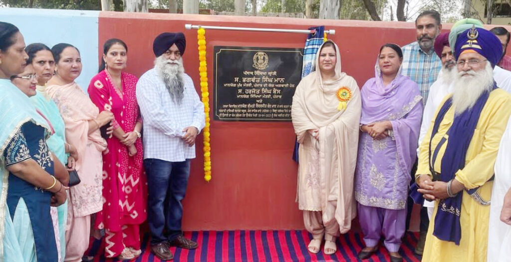 Punjab education revolution 