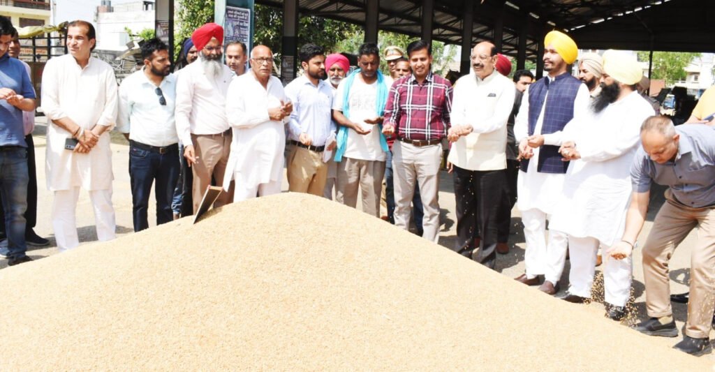 Jalandhar News