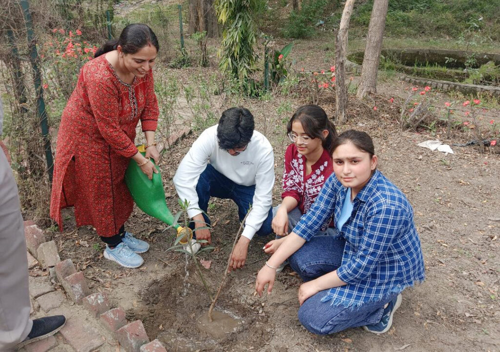 D.A.V. College, Plantation Drive organized