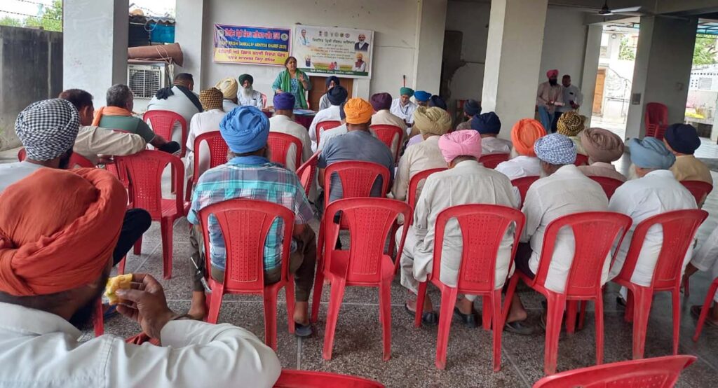  Jalandhar News 