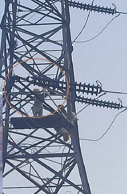 Punjab News : पंजाब में दो बुजुर्ग रोजगार की मांग को लेकर बिजली के टावर पर चढ़े Punjab News : पंजाब में दो बुजुर्ग रोजगार की मांग को लेकर बिजली के टावर पर चढ़े