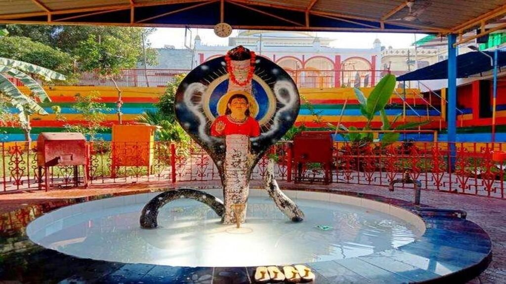 Sodal Mela 2025: जालंधर में सोढल का मेला लगने से पहले लोगों की बढ़ रही परेशानियां, बारिश ने हालातों को बनाया चिंताजनक