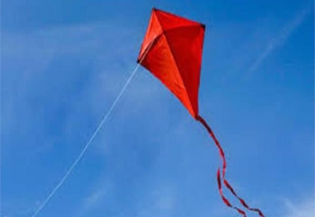 Sangrur News : पतंग उड़ाते वक्त दर्दनाक हादसा: छत से गिरकर 12 साल के मासूम की मौत