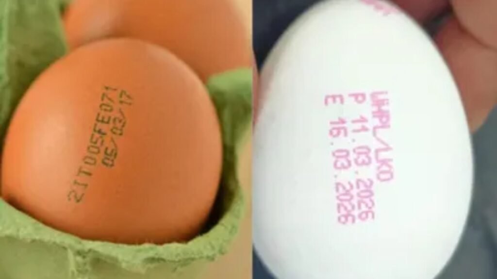 Egg Expiry Date : अब अंडों पर भी लिखनी होगी एक्सपायरी डेट, नियम तोड़ने पर दुकानदारों पर होगी कार्रवाई