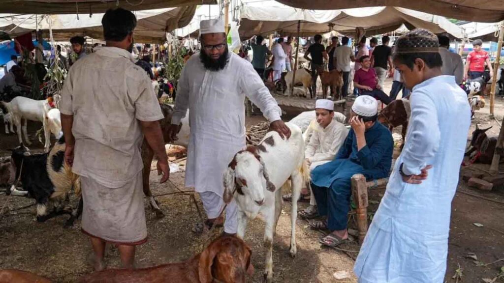 Bakrid Qurbani Rules : बकरीद पर हर जानवर की नहीं दी जा सकती कुर्बानी! जानिए कौन-से जानवर हैं जायज और क्या हैं उम्र के नियम Bakrid Qurbani Rules : बकरीद पर हर जानवर की नहीं दी जा सकती कुर्बानी! जानिए कौन-से जानवर हैं जायज और क्या हैं उम्र के नियम