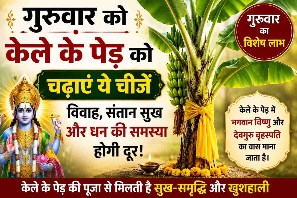 Thursday Banana Tree Remedies : गुरुवार को करें ये सरल उपाय, विवाह और धन संबंधी परेशानियां हो सकती हैं दूर