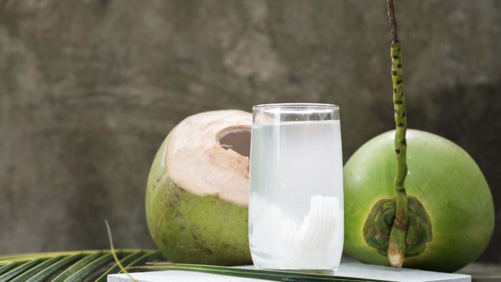 Coconut Water Alternatives : नारियल पानी हुआ महंगा! गर्मियों में शरीर को ठंडा और हाइड्रेट रखने के लिए अपनाएं ये 5 सस्ते देसी ड्रिंक्स