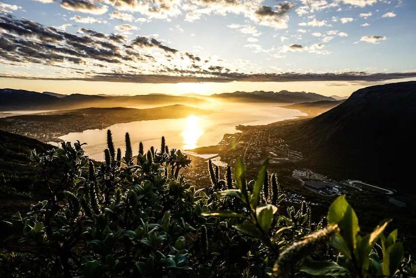 Midnight Sun Places : आधी रात में भी नहीं डूबता सूरज! दुनिया की 5 खूबसूरत जगहें, जहां रात होने का इंतजार रह जाता है अधूरा Midnight Sun Places : आधी रात में भी नहीं डूबता सूरज! दुनिया की 5 खूबसूरत जगहें, जहां रात होने का इंतजार रह जाता है अधूरा