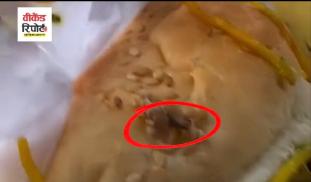 Hari Burger Viral Video : जालंधर में Hari Burger को लेकर सोशल मीडिया पर बवाल, बर्गर में सूंडी मिलने का वीडियो हुआ वायरल, देखें